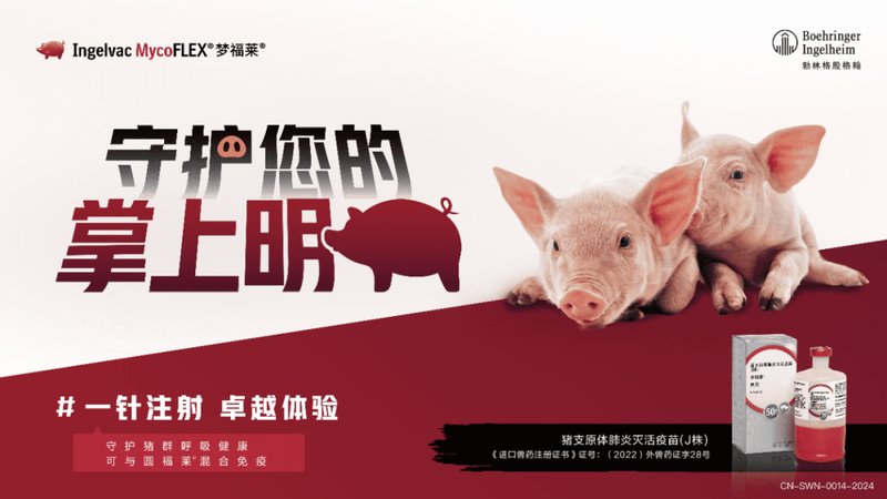 三大养殖业巨头开年动作频频,释放啥信号? 新闻