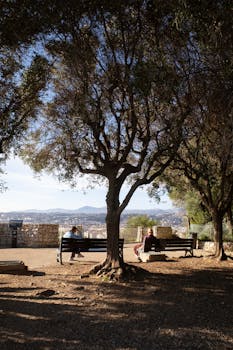 吉宏股份董事长庄浩:在手订单多于去年同期 海外市场布局提速 新闻