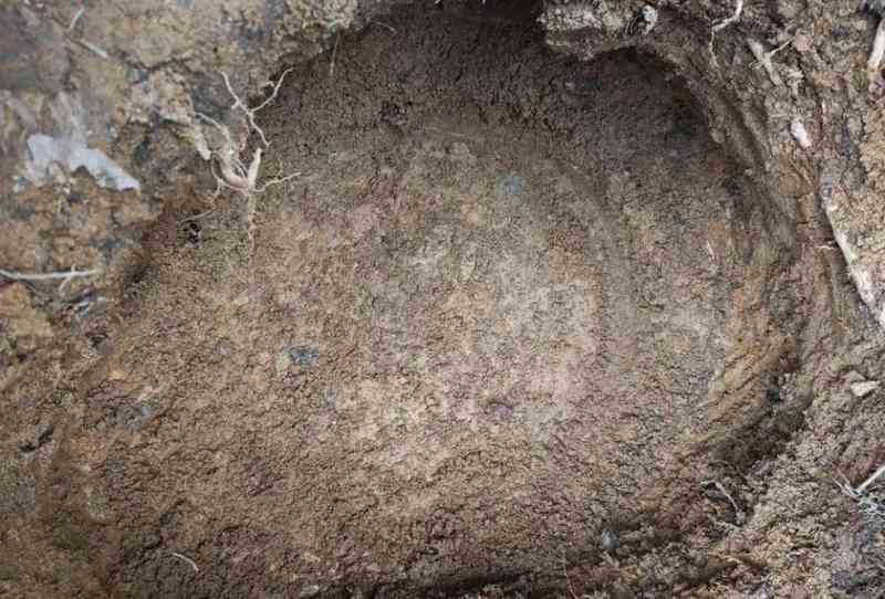 云南威信一村民耕作时挖出东汉铜鼓并主动捐出,专家:应为祭祀时的重要礼器 新闻 云南威信一村民耕作时挖出东汉铜鼓并主动捐出,专家:应为祭祀时的重要礼器 新闻 云南威信一村民耕作时挖出东汉铜鼓并主动捐出,专家:应为祭祀时的重要礼器 新闻