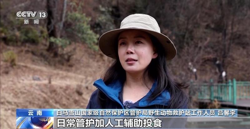 特别“家庭旅行团”亮相 我国野生动植物保护交出亮眼答卷 新闻 特别“家庭旅行团”亮相 我国野生动植物保护交出亮眼答卷 新闻 特别“家庭旅行团”亮相 我国野生动植物保护交出亮眼答卷 新闻