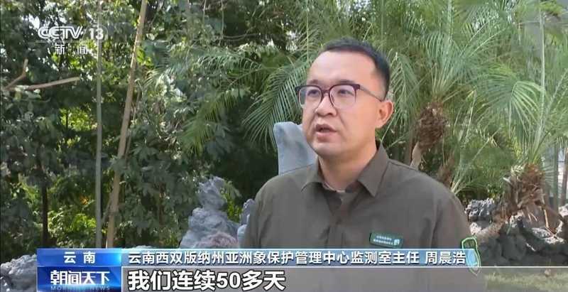 特别“家庭旅行团”亮相 我国野生动植物保护交出亮眼答卷 新闻 特别“家庭旅行团”亮相 我国野生动植物保护交出亮眼答卷 新闻 特别“家庭旅行团”亮相 我国野生动植物保护交出亮眼答卷 新闻