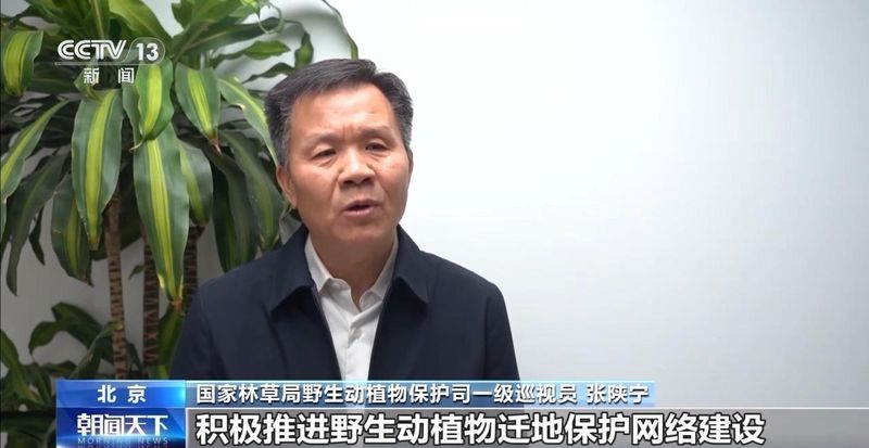 特别“家庭旅行团”亮相 我国野生动植物保护交出亮眼答卷 新闻 特别“家庭旅行团”亮相 我国野生动植物保护交出亮眼答卷 新闻 特别“家庭旅行团”亮相 我国野生动植物保护交出亮眼答卷 新闻