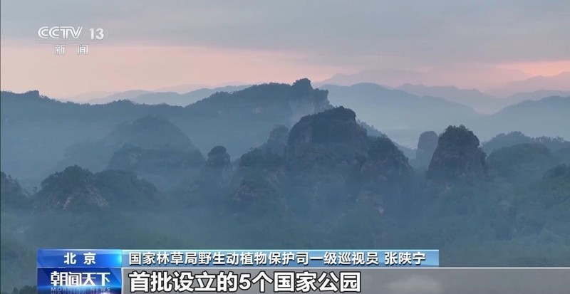 特别“家庭旅行团”亮相 我国野生动植物保护交出亮眼答卷 新闻 特别“家庭旅行团”亮相 我国野生动植物保护交出亮眼答卷 新闻 特别“家庭旅行团”亮相 我国野生动植物保护交出亮眼答卷 新闻