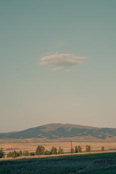 新车频繁被“开刀”维修,车主维权渠道全解析 新闻