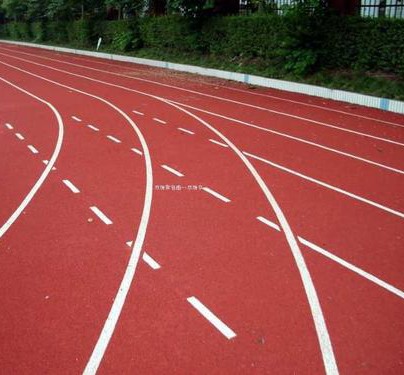  张博雅强势夺冠，刷新最佳！刘景扬紧随其后摘银；女子60米栏高水平对决燃爆西安站。 体育新闻