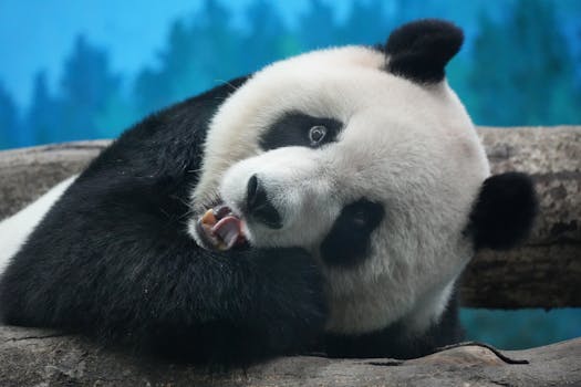 上海宣泰医药科技股份有限公司迎来股权激励新进展;限制性股票计划草案修订稿,已获市国资委原则同意。 股票财经