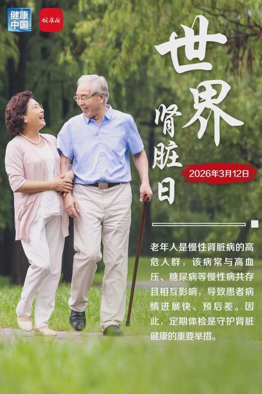 老年人肾功能渐进衰退,隐匿信号不容忽视;及早干预守护生命之源。 健康养生