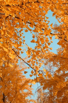 北京土地市场变局显现;央国企主导加剧,新进者机遇锐减。 房产家居