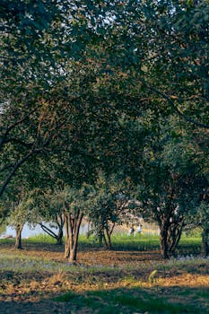  中国企业加速国际化步伐，汇丰高管展望全球投资新格局。 股票财经 中国企业加速国际化步伐，汇丰高管展望全球投资新格局。 股票财经