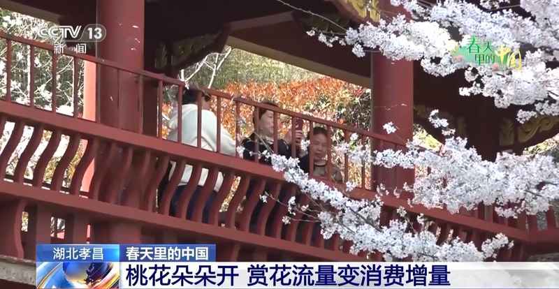 春风拂面花开遍野;赏花之旅带动乡村消费热潮。 文化旅游