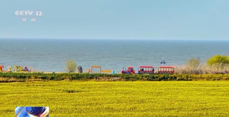 春风拂面花开遍野;赏花之旅带动乡村消费热潮。 文化旅游