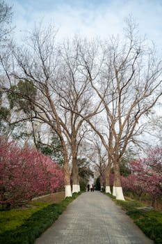 2025年行业复苏新周期:旅游龙头企业的价值重构与增长逻辑 股票财经