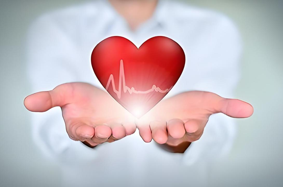 被忽视的天然代谢调节剂:绿豆降脂的底层逻辑发现 IT技术