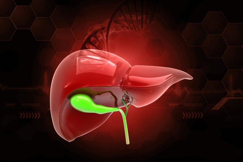 被忽视的天然代谢调节剂:绿豆降脂的底层逻辑发现 IT技术