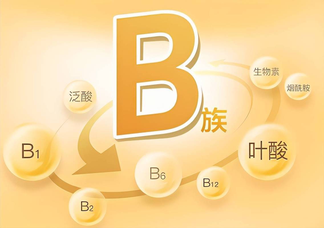 被忽视的天然代谢调节剂:绿豆降脂的底层逻辑发现 IT技术