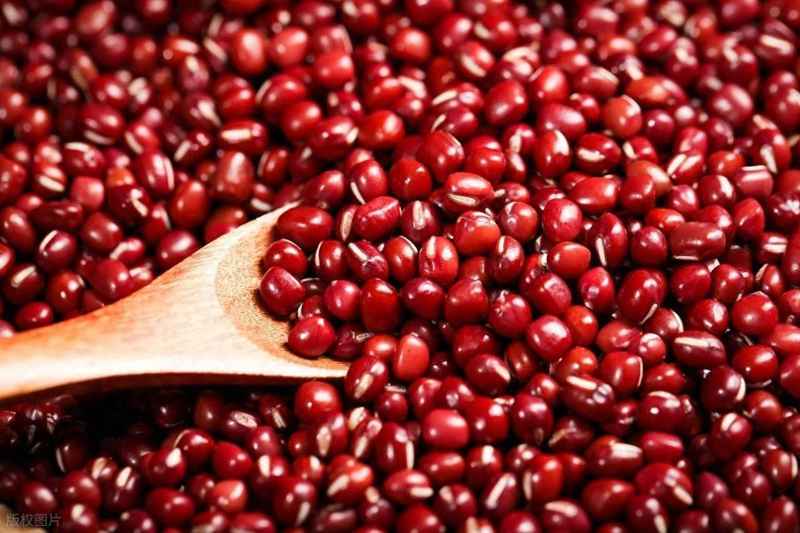 被忽视的天然代谢调节剂:绿豆降脂的底层逻辑发现 IT技术