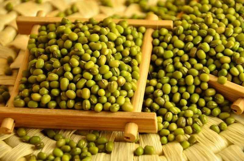 被忽视的天然代谢调节剂:绿豆降脂的底层逻辑发现 IT技术