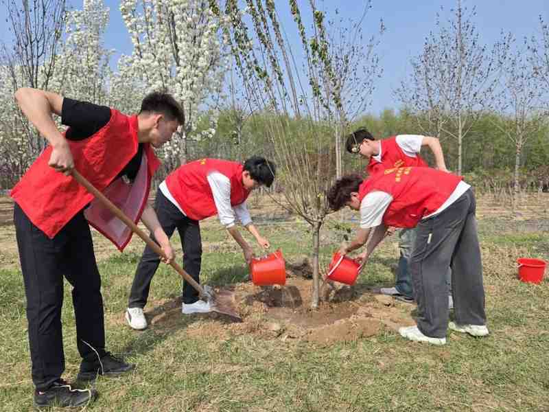  万棵树木的绿色承诺：杨庄河景区生态参与新范式 新闻