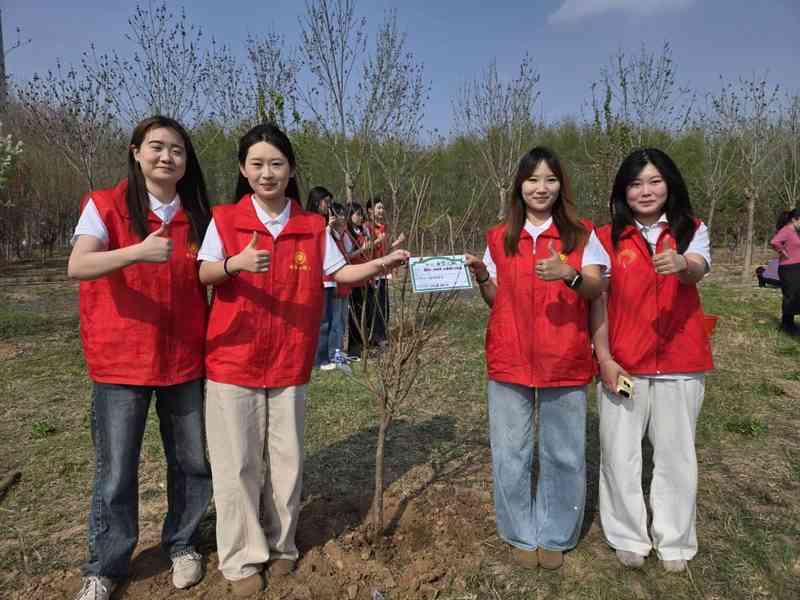  万棵树木的绿色承诺：杨庄河景区生态参与新范式 新闻