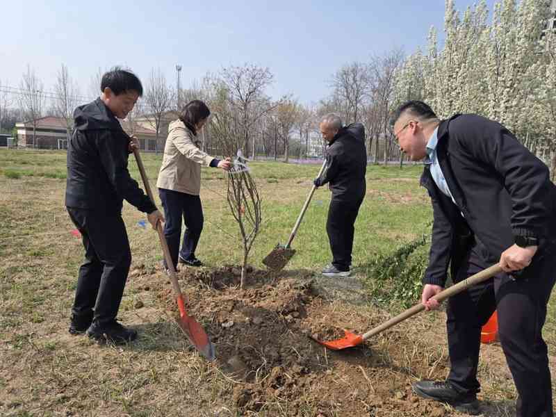 万棵树木的绿色承诺：杨庄河景区生态参与新范式