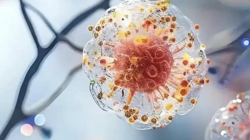 自由贸易账户功能升级:外资银行如何重塑跨境资金流转的底层逻辑? IT技术