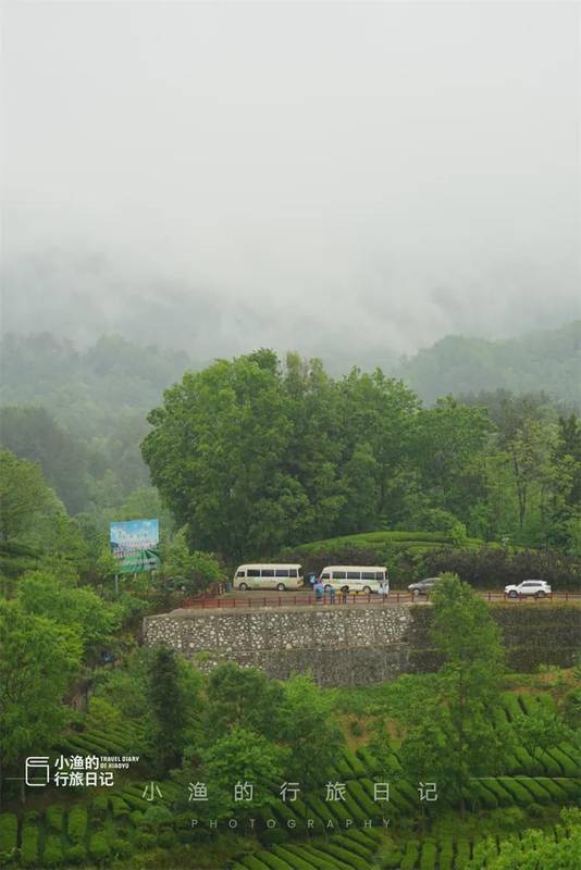  【技术深度】西安3H自驾圈内的茶园秘境：江塝茗园地理区位与茶业生态全解 文化旅游