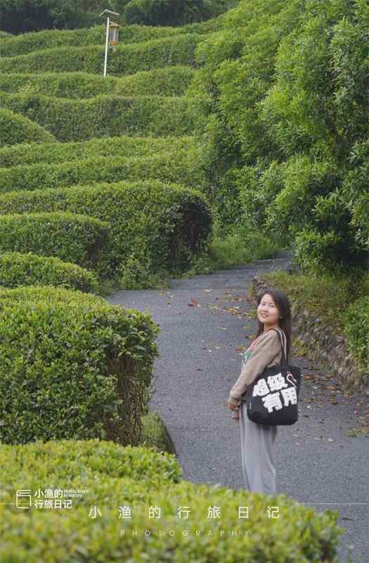  【技术深度】西安3H自驾圈内的茶园秘境：江塝茗园地理区位与茶业生态全解 文化旅游