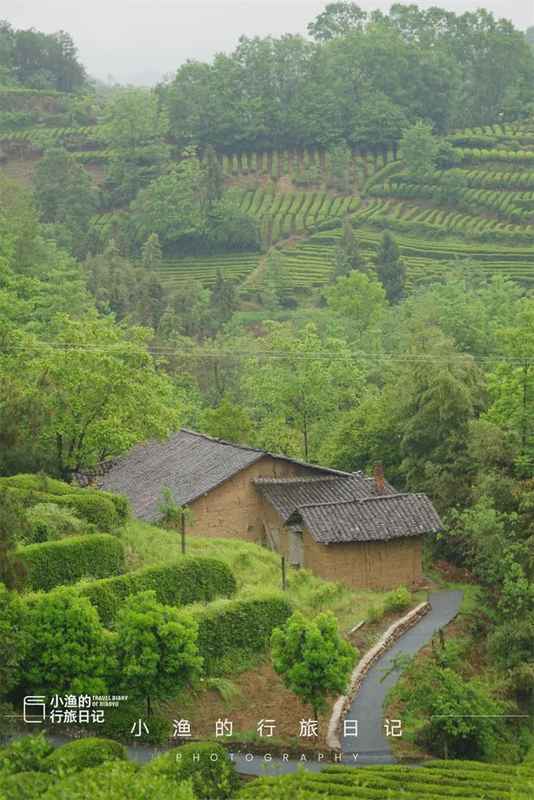  【技术深度】西安3H自驾圈内的茶园秘境：江塝茗园地理区位与茶业生态全解 文化旅游