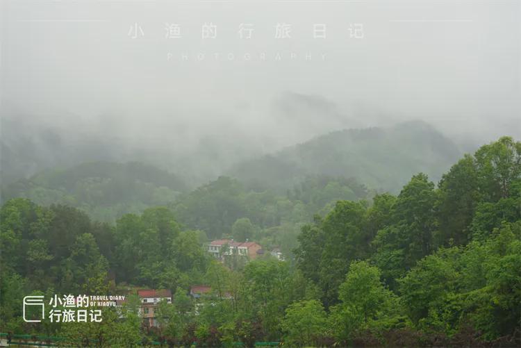  【技术深度】西安3H自驾圈内的茶园秘境：江塝茗园地理区位与茶业生态全解 文化旅游