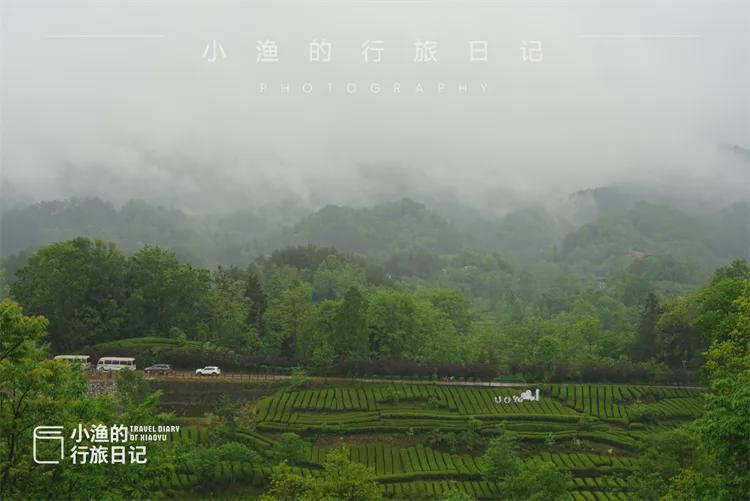  【技术深度】西安3H自驾圈内的茶园秘境：江塝茗园地理区位与茶业生态全解 文化旅游