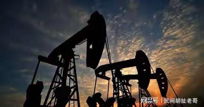  【深度复盘】从“全球通缉”到“柏林座上宾”：朱拉尼政治转型的技术拆解与战略博弈 新闻