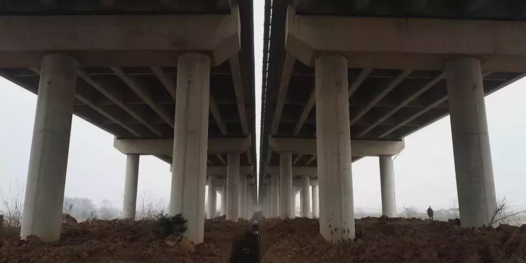  高速事故撤离指南：二次事故的技术分析与黄金处置法则 汽车科技
