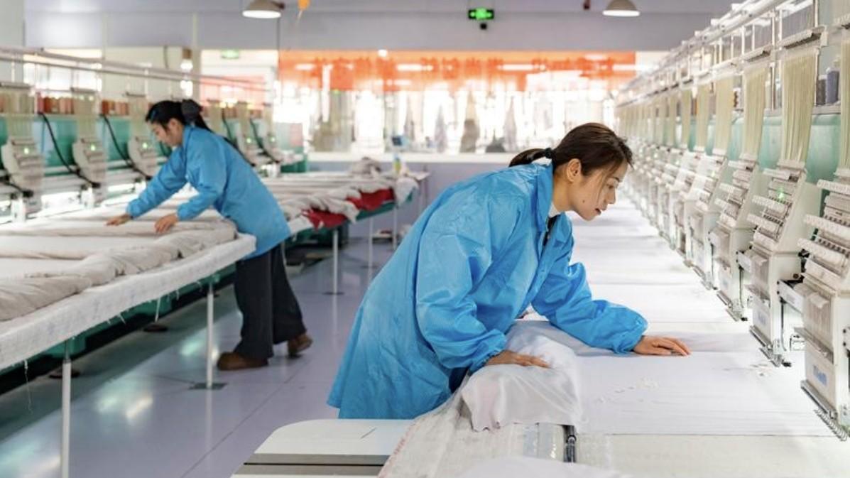  人口流向的深层密码：浙江何以成为全国人口引力场？ 新闻