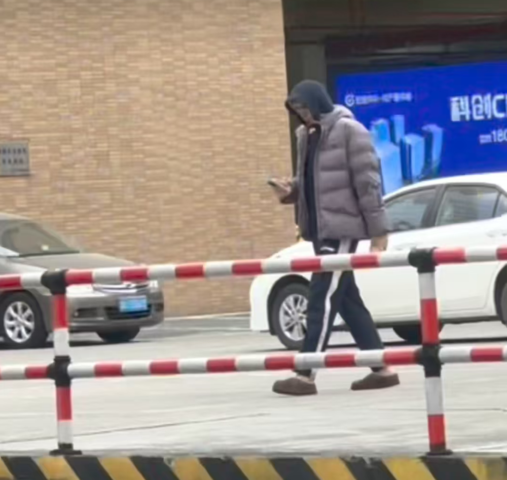  技术视角：焦泊乔回归东莞背后的战术变量与广东队内线补强逻辑 体育新闻