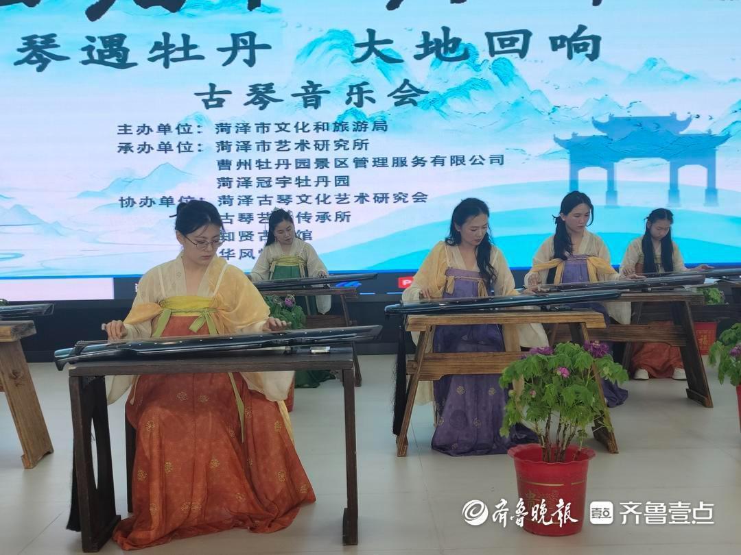  从伏羲制琴到曹州花海：一文拆解菏泽牡丹琴会的沉浸式文旅融合技术体系 文化旅游