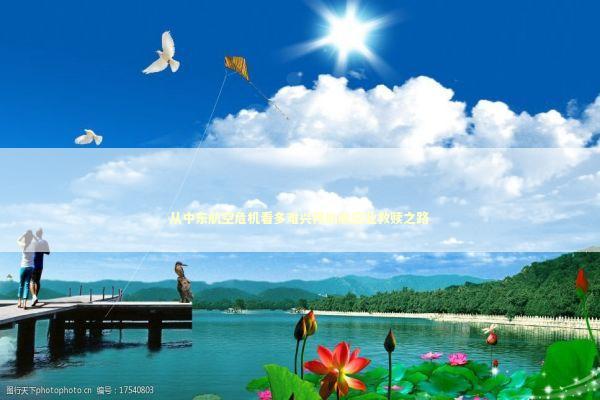 从中东航空危机看多难兴邦的航空业救赎之路 从中东航空危机看多难兴邦的航空业救赎之路 新闻