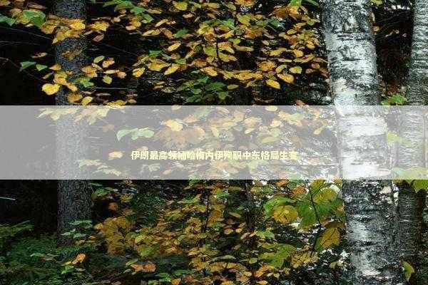 伊朗最高领袖哈梅内伊殉职中东格局生变 伊朗最高领袖哈梅内伊殉职中东格局生变 新闻