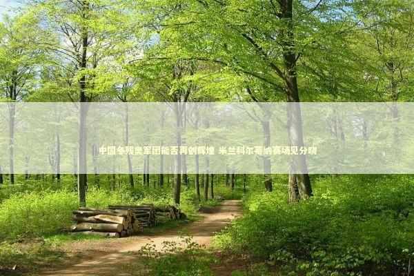 中国冬残奥军团能否再创辉煌 米兰科尔蒂纳赛场见分晓