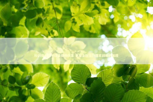 科创债优化不仅是债券改革 更是金融支持国家战略的体现 科创债优化不仅是债券改革 更是金融支持国家战略的体现 新闻