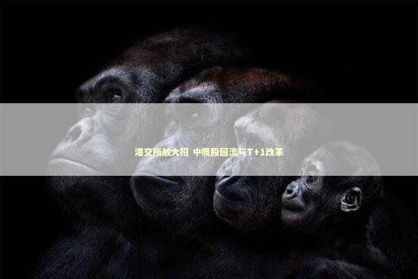 港交所放大招 中概股回流与T+1改革 新闻