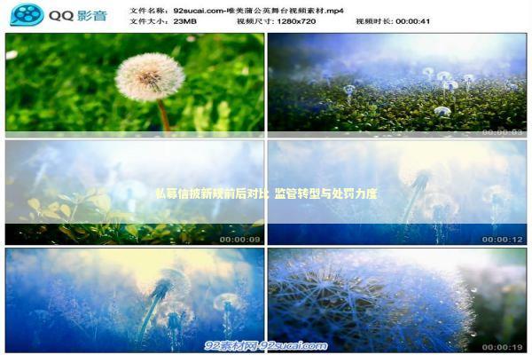 私募信披新规前后对比 监管转型与处罚力度 私募信披新规前后对比 监管转型与处罚力度 新闻