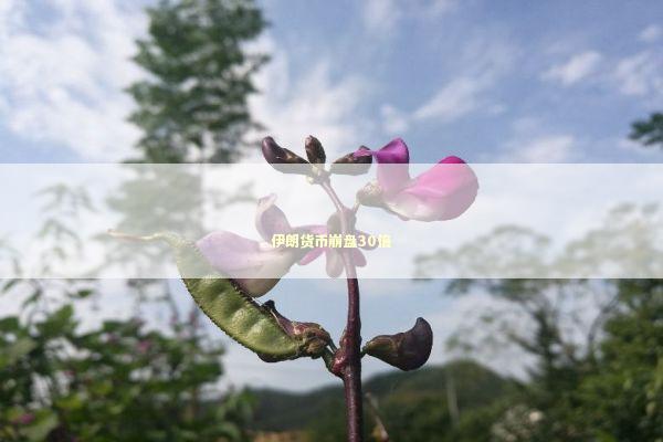 伊朗货币崩盘30倍 伊朗货币崩盘30倍 新闻