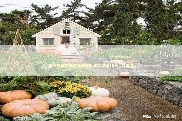 特斯拉重夺挪威销量榜首 份额突破16%_引用型 新闻