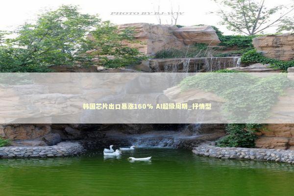 韩国芯片出口暴涨160% AI超级周期_抒情型 韩国芯片出口暴涨160% AI超级周期_抒情型 新闻