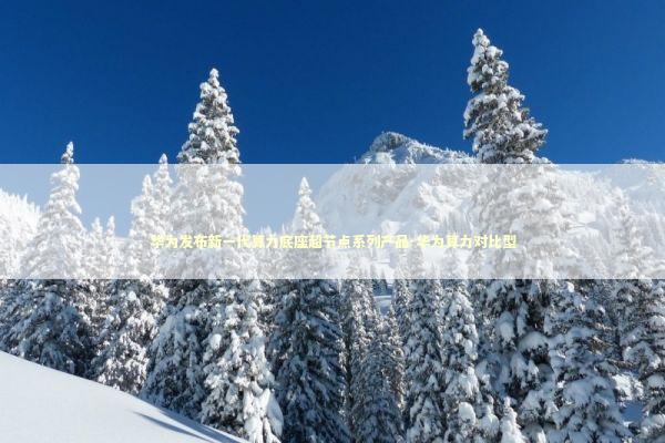 华为发布新一代算力底座超节点系列产品-华为算力对比型 新闻