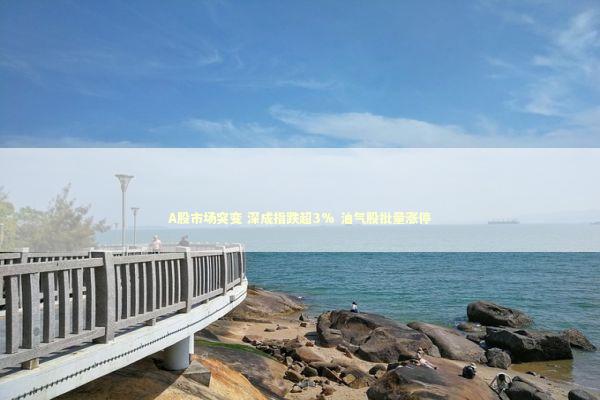 A股市场突变 深成指跌超3% 油气股批量涨停 A股市场突变 深成指跌超3% 油气股批量涨停 新闻