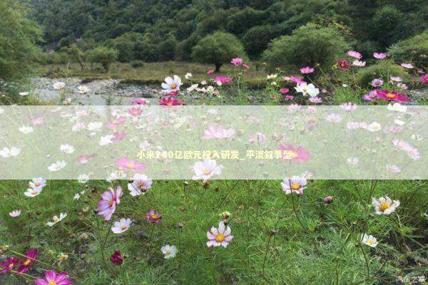 小米240亿欧元投入研发_平淡叙事型 新闻