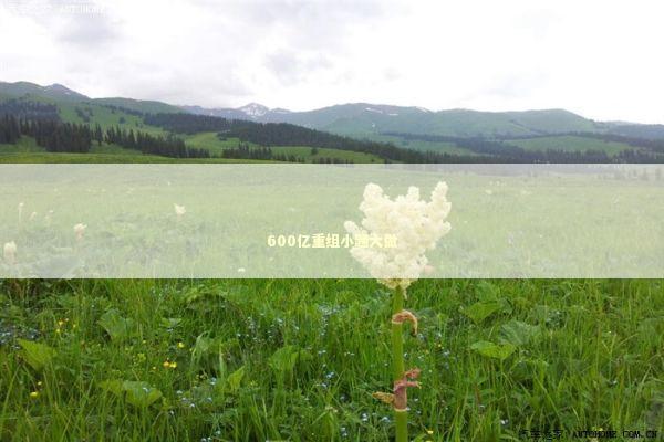 600亿重组小题大做 600亿重组小题大做 新闻