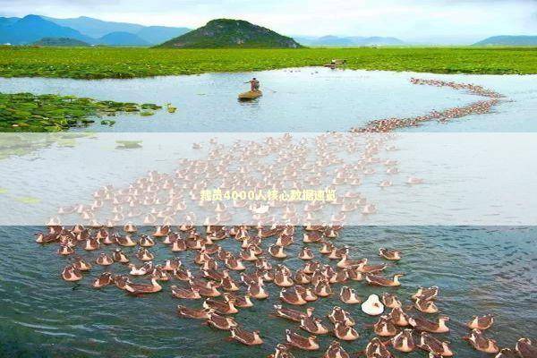 裁员4000人核心数据速览 新闻