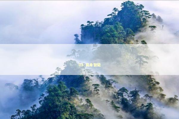 08-具身智能 08-具身智能 新闻